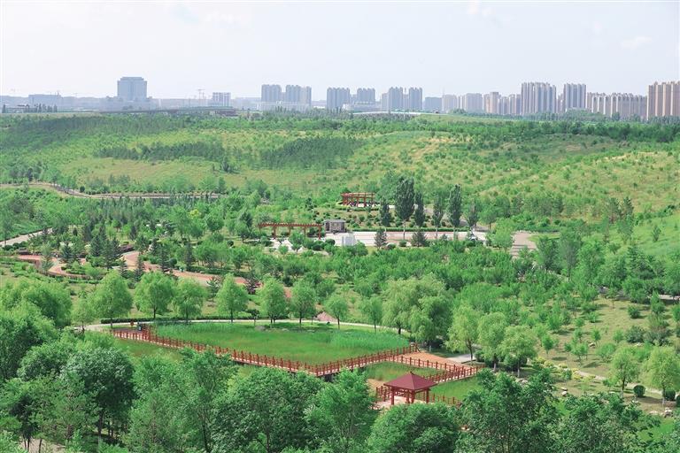 正是盛夏悦目时